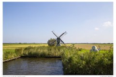 Impression from the Netherland