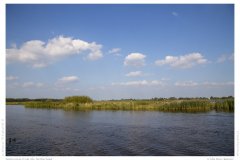 Impression from the Netherland