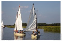 Impression from the Netherland
