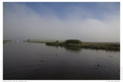 Impression from the Netherland