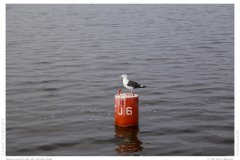 Impression from the Netherland