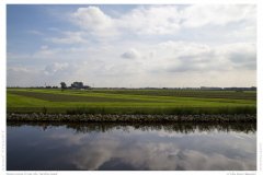 Impression from the Netherland