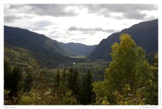 Impressionen