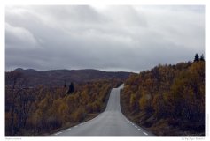Impressionen
