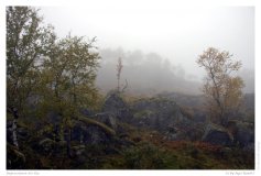 Impressionen der E13