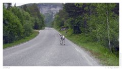 Nordkapptour