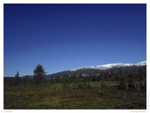 Nordkapptour