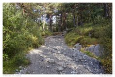 Preikestolen - der Aufstieg