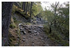 Preikestolen - der Aufstieg