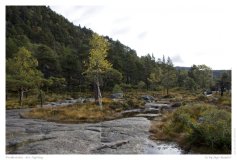 Preikestolen - der Aufstieg