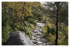 Preikestolen - der Aufstieg