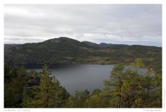 Preikestolen - der Aufstieg