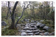 Preikestolen - der Aufstieg