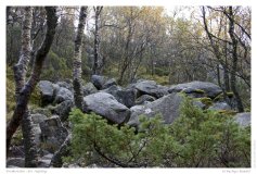 Preikestolen - der Aufstieg