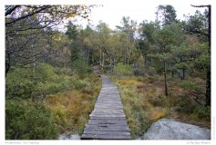 Preikestolen - der Aufstieg