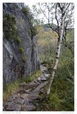 Preikestolen - der Aufstieg