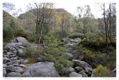 Preikestolen - der Aufstieg