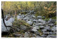 Preikestolen - der Aufstieg