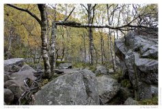 Preikestolen - der Aufstieg