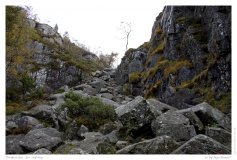 Preikestolen - der Aufstieg