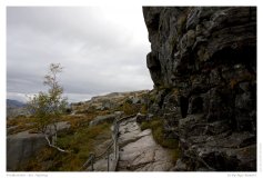 Preikestolen - der Aufstieg