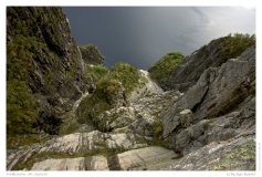 Preikestolen - die Aussicht