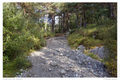 Preikestolen - der Aufstieg