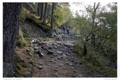 Preikestolen - der Aufstieg