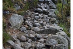 Preikestolen - der Aufstieg