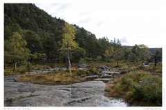 Preikestolen - der Aufstieg