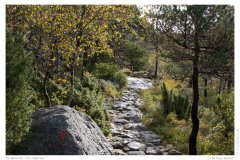 Preikestolen - der Aufstieg