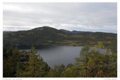 Preikestolen - der Aufstieg