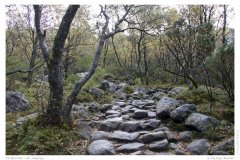 Preikestolen - der Aufstieg