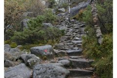 Preikestolen - der Aufstieg