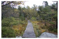 Preikestolen - der Aufstieg