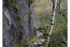 Preikestolen - der Aufstieg