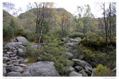 Preikestolen - der Aufstieg