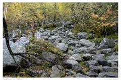 Preikestolen - der Aufstieg