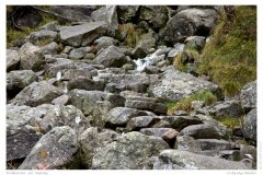 Preikestolen - der Aufstieg