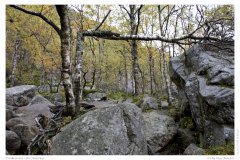 Preikestolen - der Aufstieg