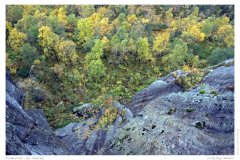 Preikestolen - der Aufstieg