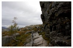 Preikestolen - der Aufstieg