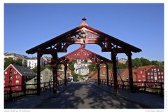 Gamle Bybrua Trondheim