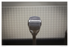 Sennheiser