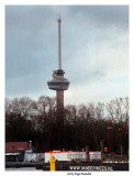 Rotterdam