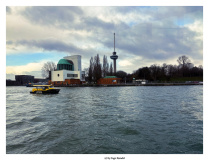 Rotterdam
