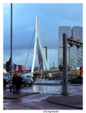 Rotterdam