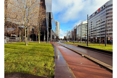 Rotterdam