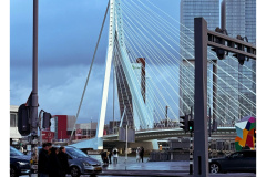 Rotterdam