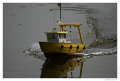 IMG_20060616_135132